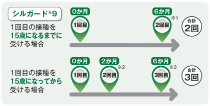 一般的な接種スケジュール